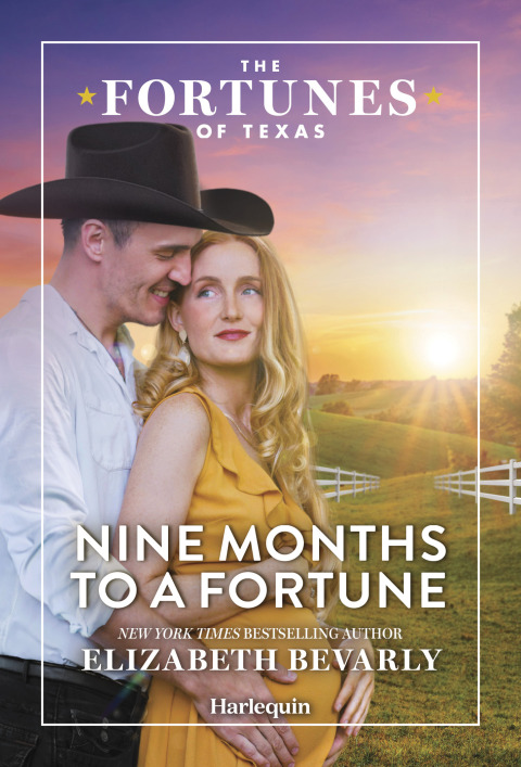 Cover image for book Nine Months to a Fortune