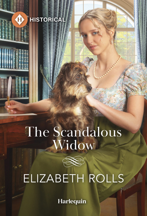 Cover image for book The Scandalous Widow