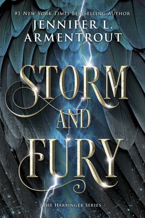 Cover image for book Storm and Fury