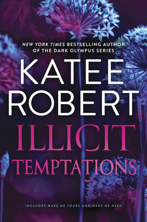 Cover image for book Illicit Temptations