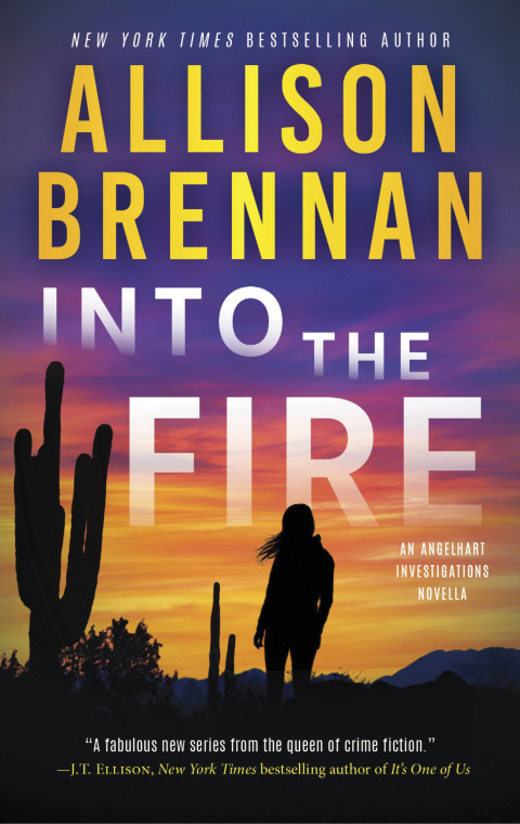 Cover image for book Into the Fire