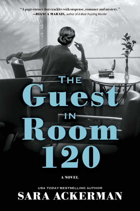 Cover image for book The Guest in Room 120