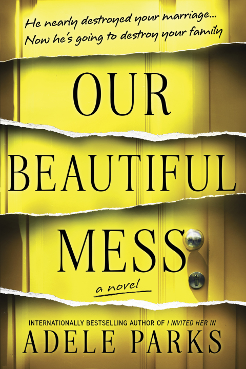 Cover image for book Our Beautiful Mess