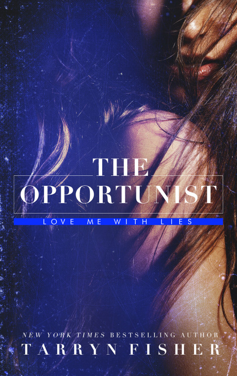 Cover image for book The Opportunist
