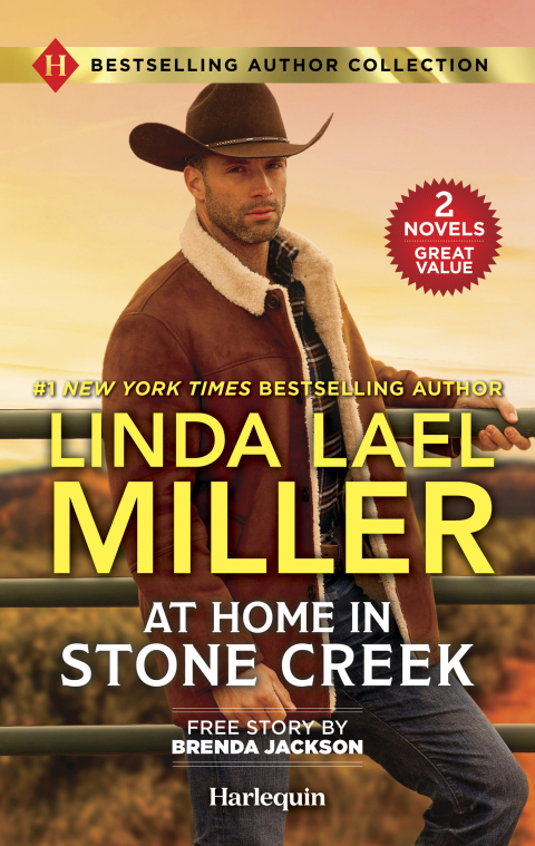 Cover image for book At Home in Stone Creek & His to Claim