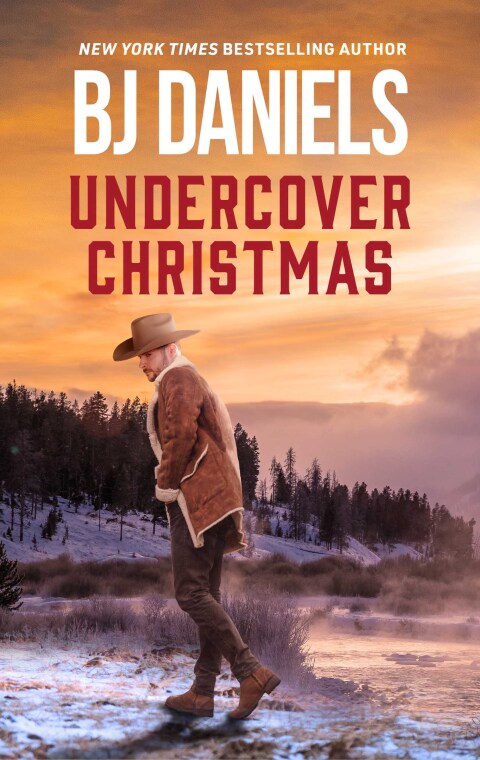 Cover image for book Undercover Christmas