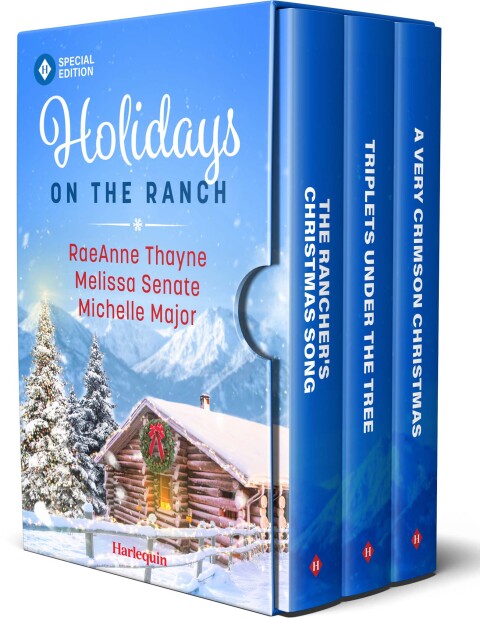 Cover image for book Holidays on the Ranch