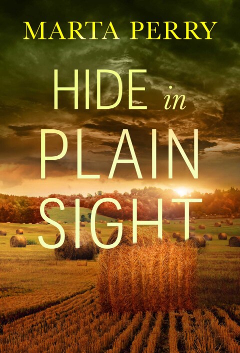Cover image for book Hide in Plain Sight
