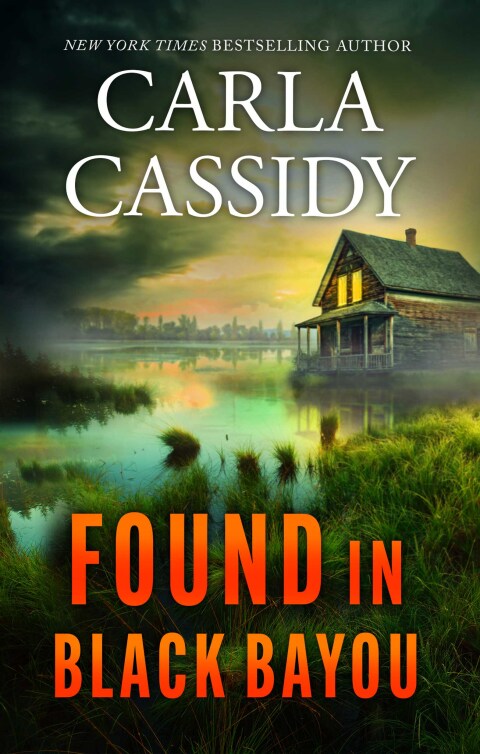 Cover image for book Found in Black Bayou