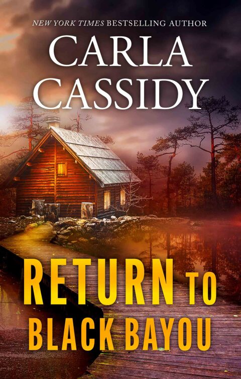 Cover image for book Return to Black Bayou
