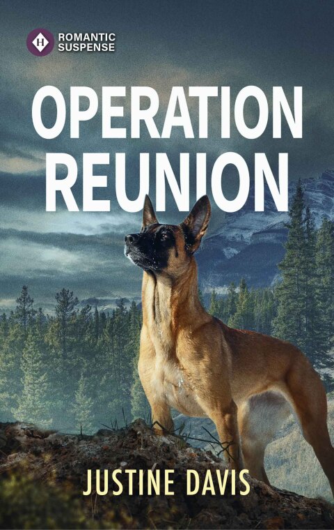 Cover image for book Operation Reunion