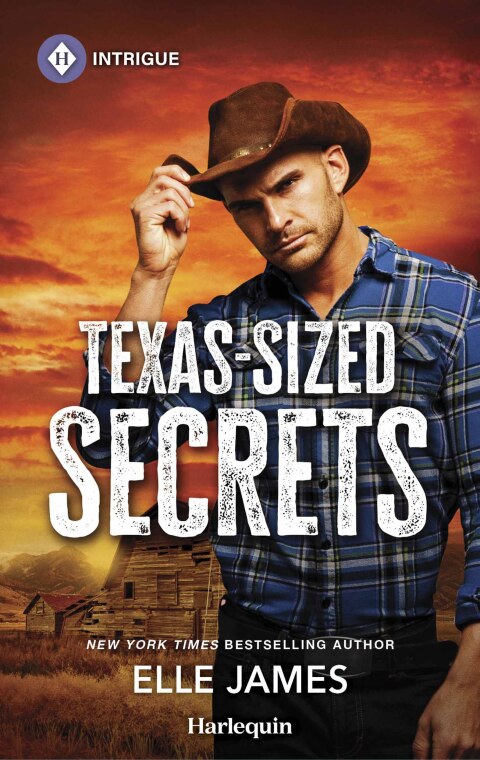 Cover image for book Texas-Sized Secrets