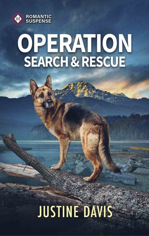 Cover image for book Operation Search and Rescue