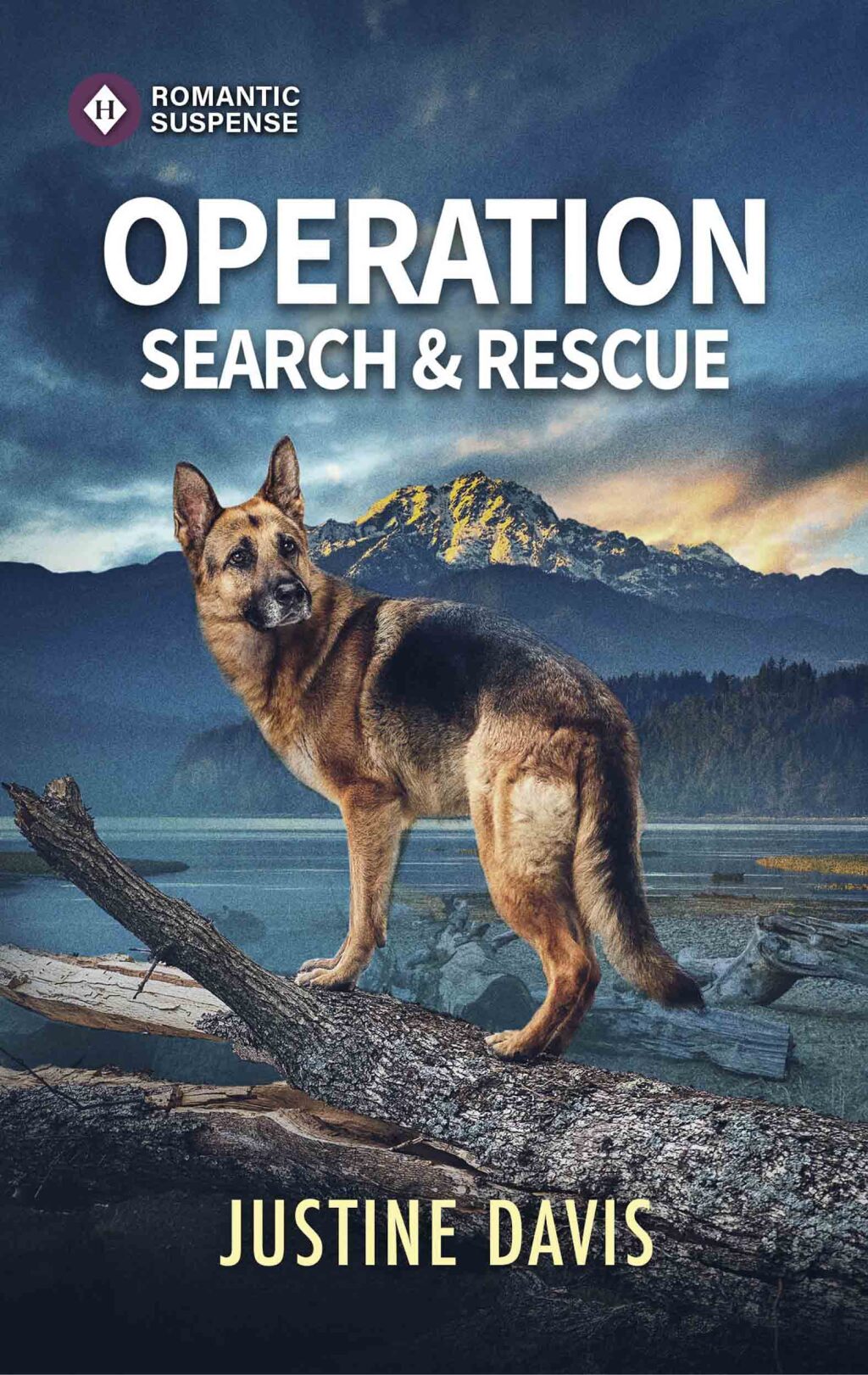 Reflowable Operation Search and Rescue; $5.54