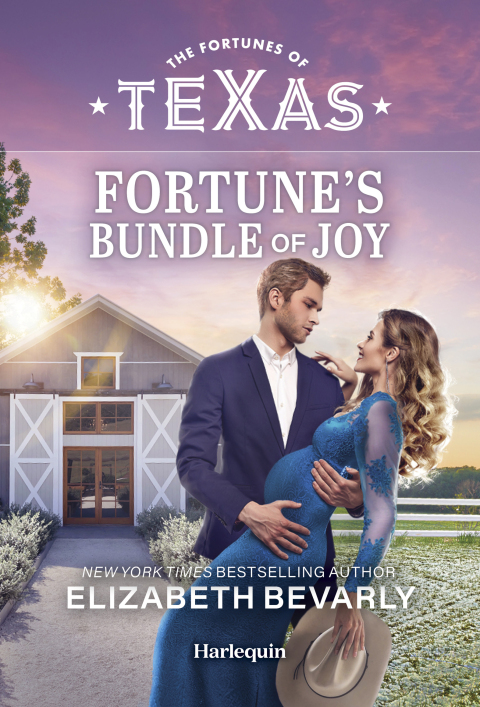 Cover image for book Fortune's Bundle of Joy