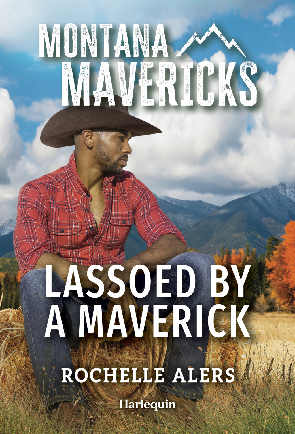 Reflowable Lassoed by a Maverick; $5.54