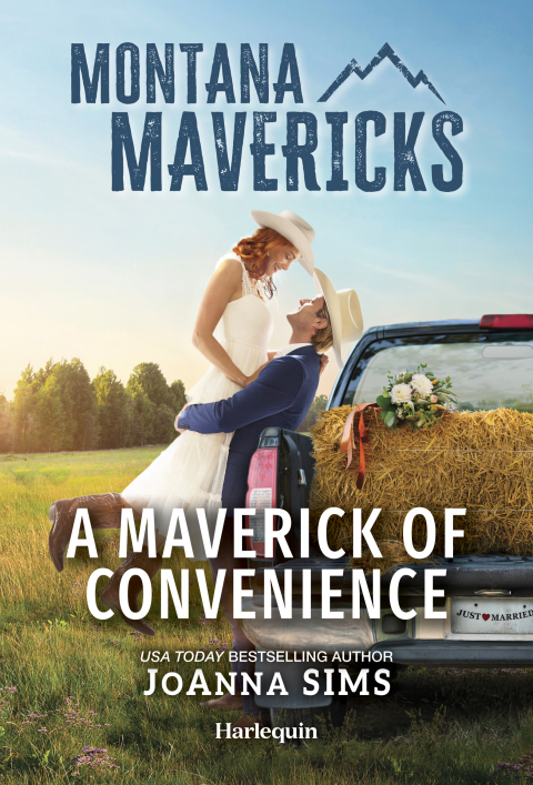 Cover image for book A Maverick of Convenience