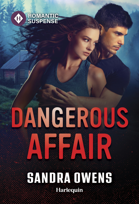 Cover image for book Dangerous Affair