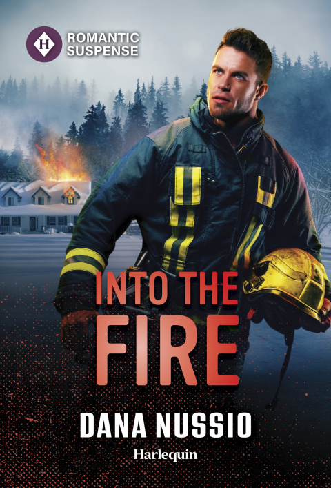 Cover image for book Into the Fire