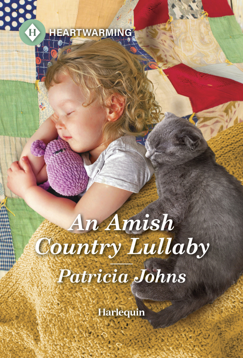 Cover image for book An Amish Country Lullaby