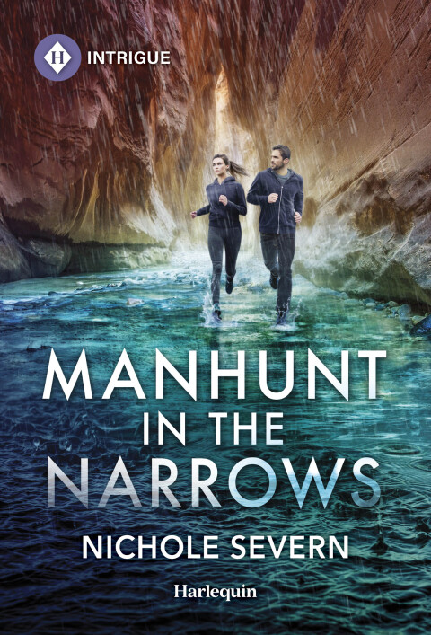 Cover image for book Manhunt in the Narrows
