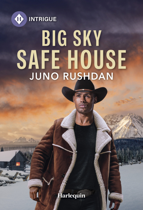 Cover image for book Big Sky Safe House