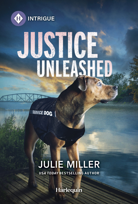 Cover image for book Justice Unleashed