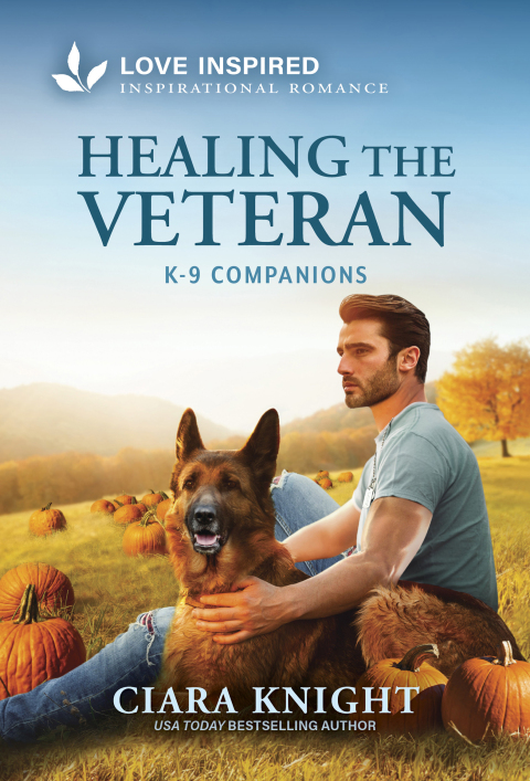 Cover image for book Healing the Veteran