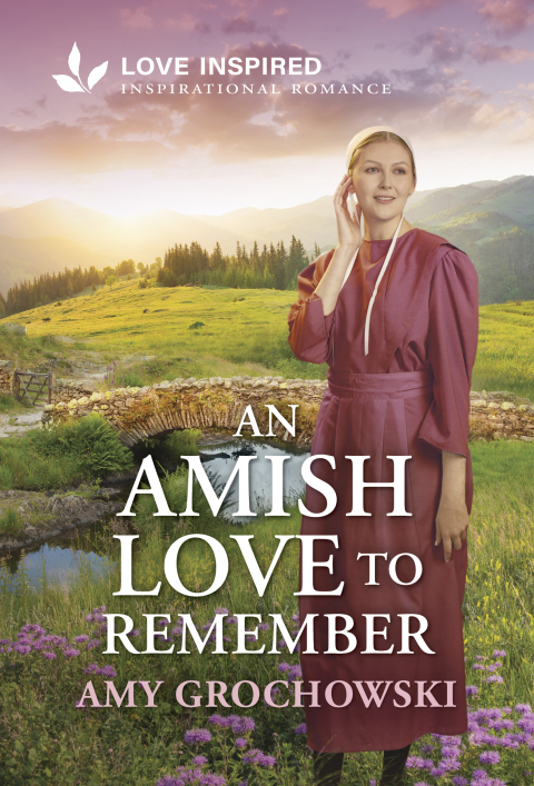 Cover image for book An Amish Love to Remember