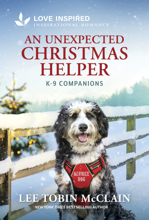 Cover image for book An Unexpected Christmas Helper