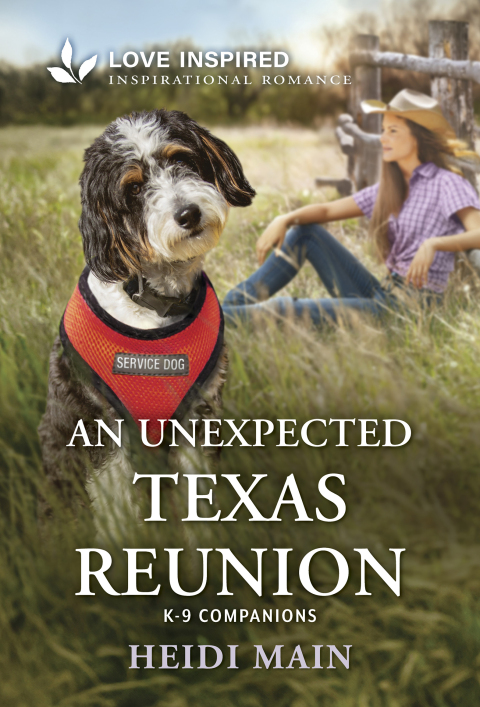 Cover image for book An Unexpected Texas Reunion