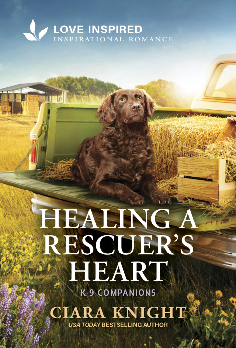 Cover image for book Healing a Rescuer's Heart