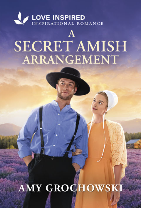 Cover image for book A Secret Amish Arrangement