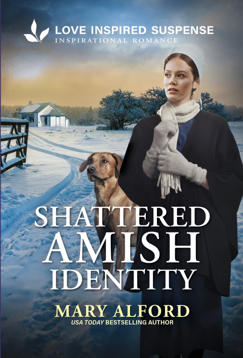 Cover image for book Shattered Amish Identity