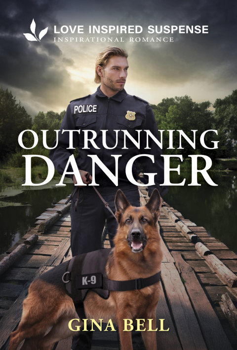 Cover image for book Outrunning Danger