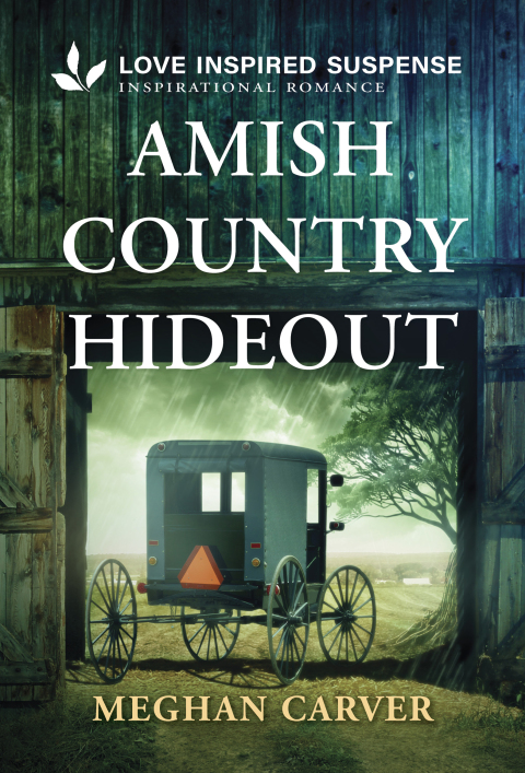 Cover image for book Amish Country Hideout