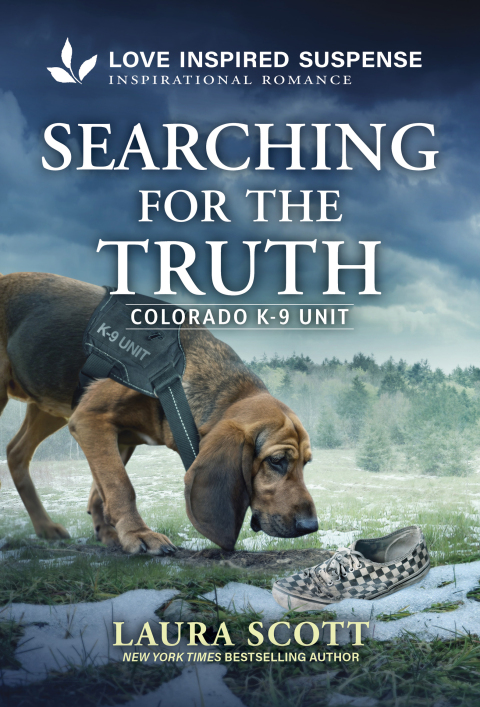 Cover image for book Searching for the Truth