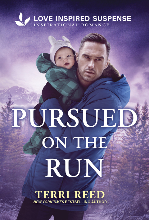 Cover image for book Pursued on the Run