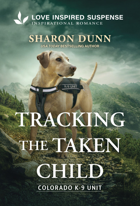 Cover image for book Tracking the Taken Child