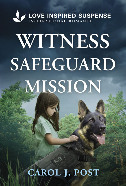 Cover image for book Witness Safeguard Mission