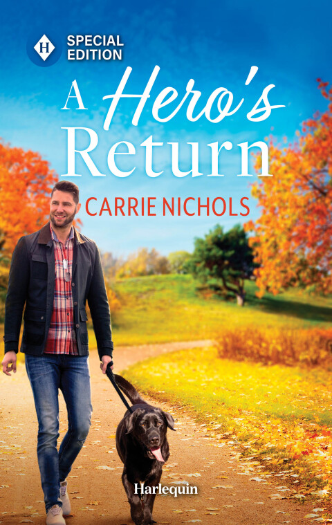 Cover image for book A Hero's Return