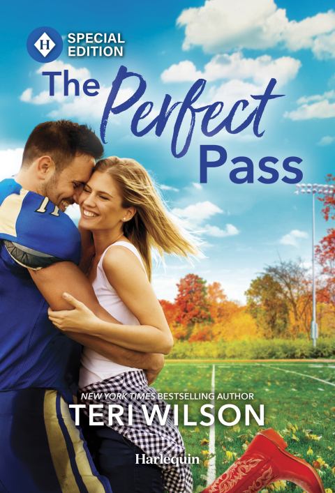 Cover image for book The Perfect Pass