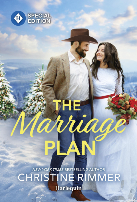 Cover image for book The Marriage Plan