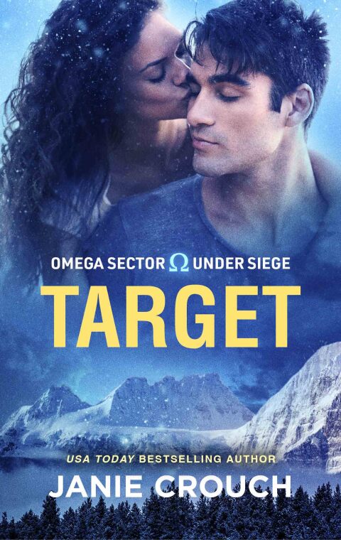 Cover image for book Target