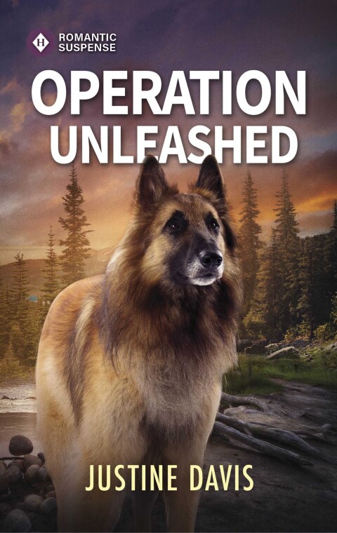 Cover image for book Operation Unleashed