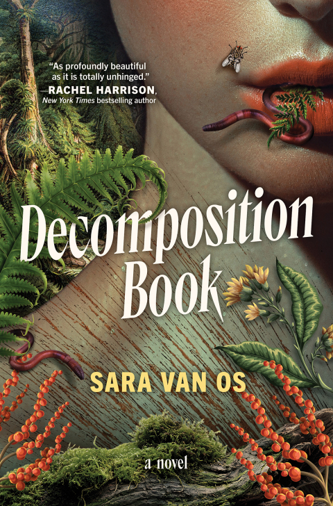 Cover image for book Decomposition Book