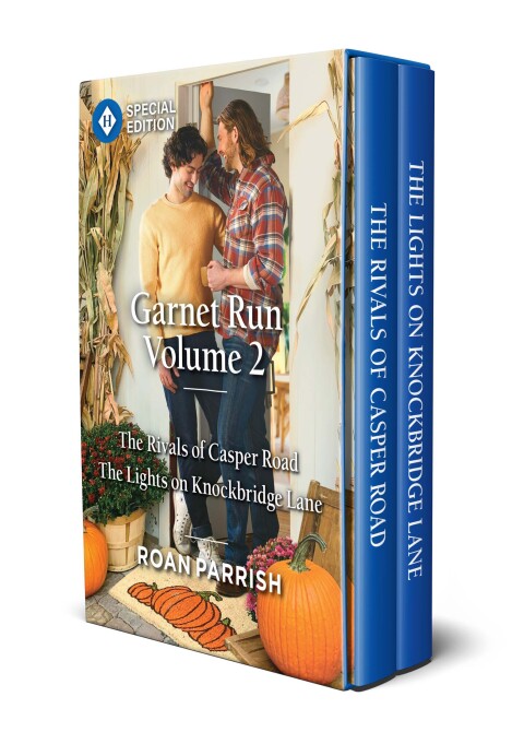 Cover image for book Garnet Run Volume 2