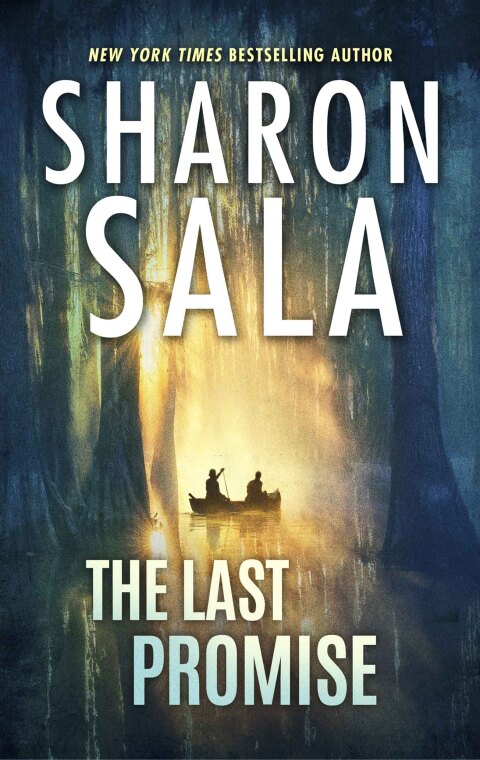 Cover image for book The Last Promise