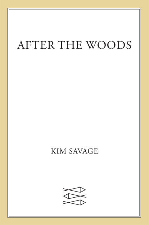 Cover image for book After the Woods