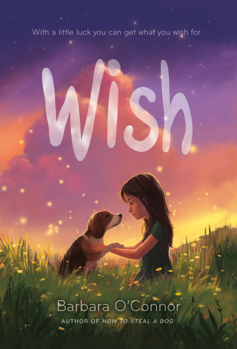 Cover image for book Wish